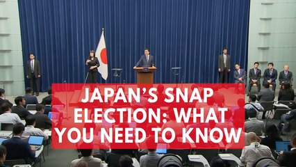 Japan's snap election: What you need to know