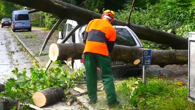 На Германию обрушился штормовой циклон