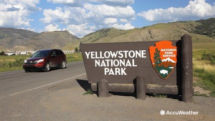 Yellowstone experiences largest earthquake swarm in over 30 years