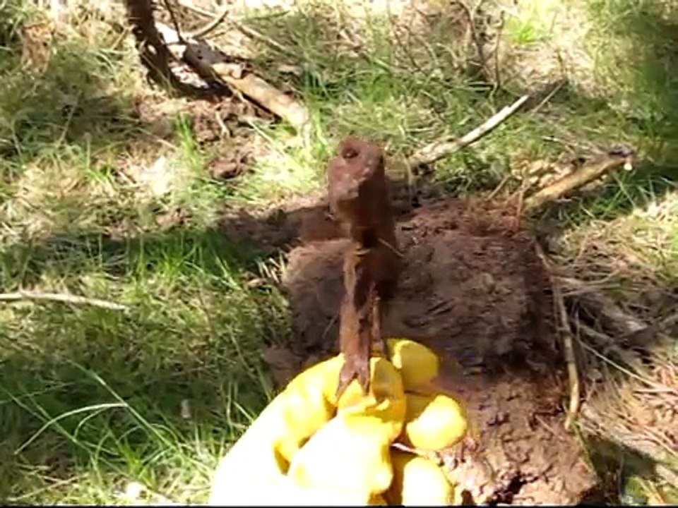 MP44 / StG44 and WWII Third Reich Eastern Front Battlefield Relics