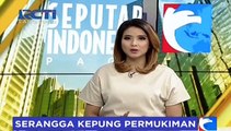 Jutaan Serangga Berbau Busuk Serang Permukiman Warga