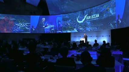 Chile le apuesta a la "economía azul" con modelo de protección marina
