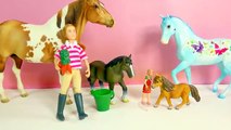 Breyer My Dream Horse Water Color Painting Paint Set Art Book - Honeyheartsc Video