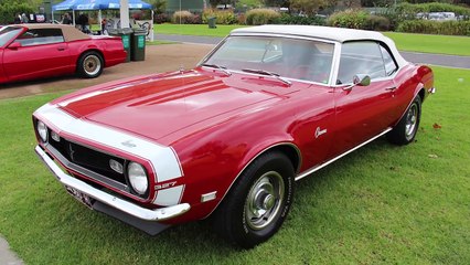 Muscle Cars vs. Pony Cars: Key Differences Explained 🚗