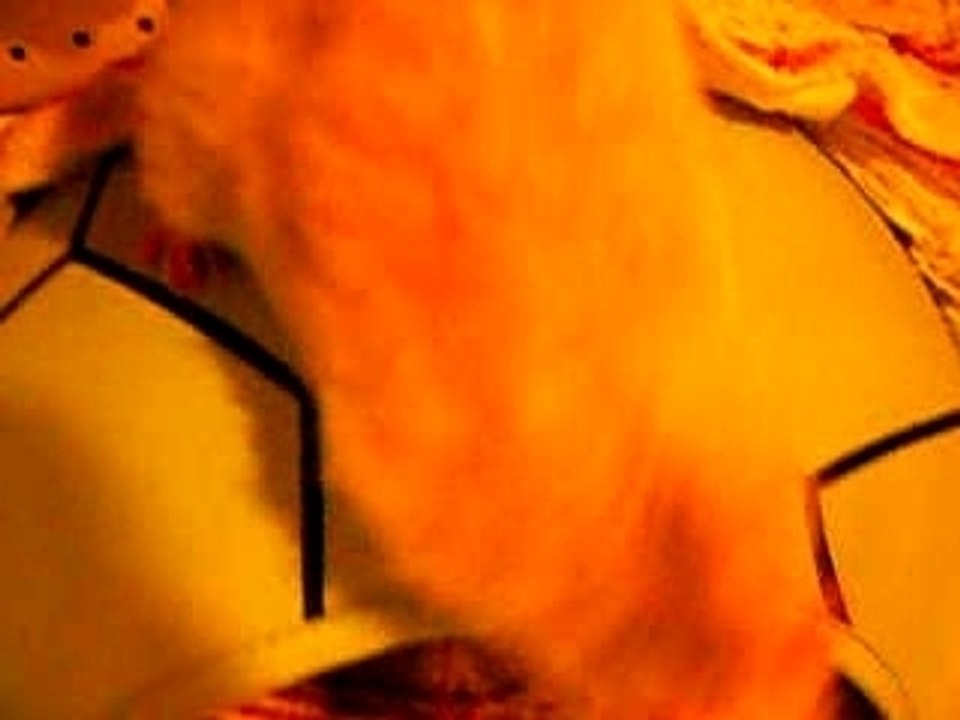 mes rats aiment le yaourt