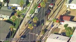 Police chase reckless driver