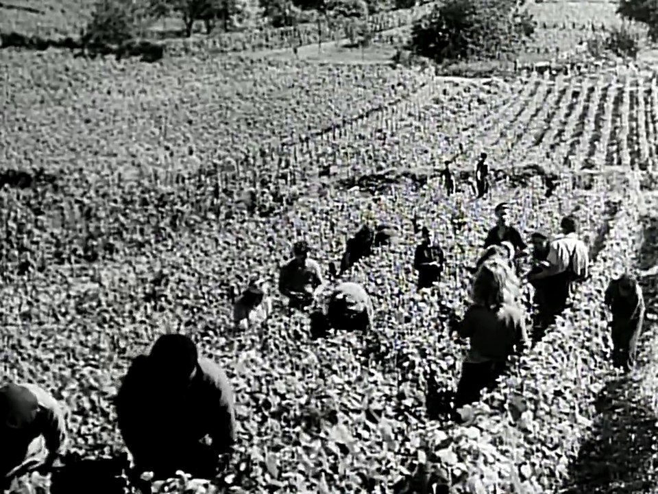 Soldier in France circa 1955