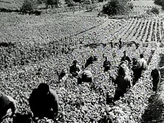 Soldier in France circa 1955