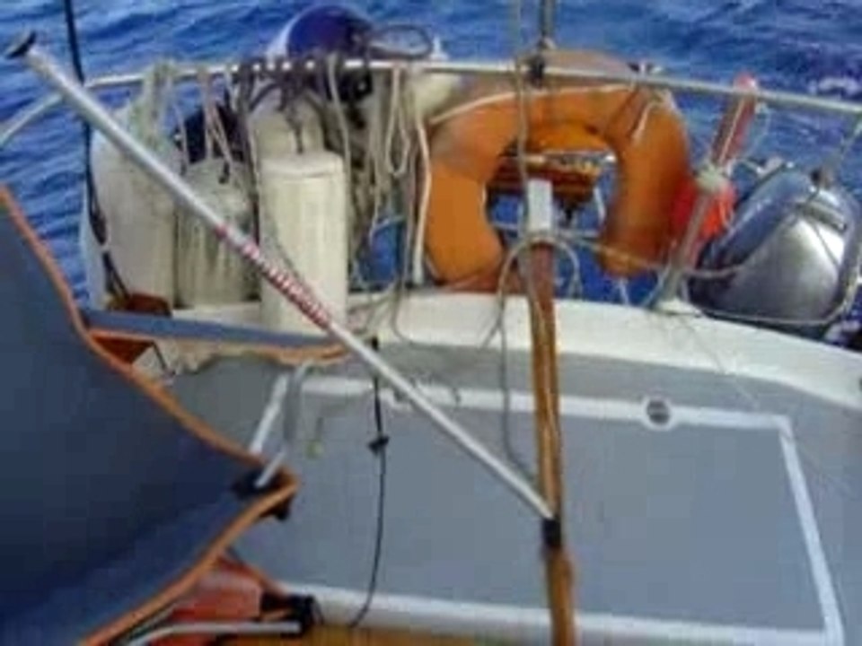 MOV03958