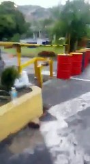 ¿Armas en trancazo opositor de Terrazas del Ávila Vea los primeros segundos de este vídeo.