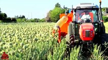 TOP Beat Amazing Machines, amazing agriculture technology, Most agricultural engineering