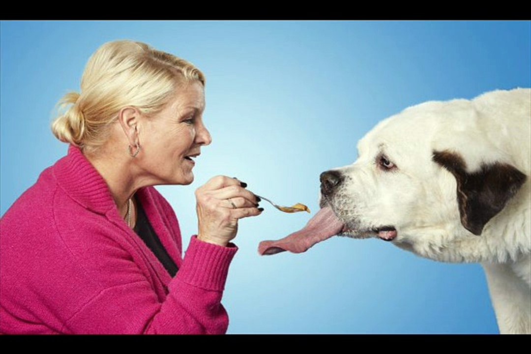 Dog’s giant 7ins tongue is the longest in the world.