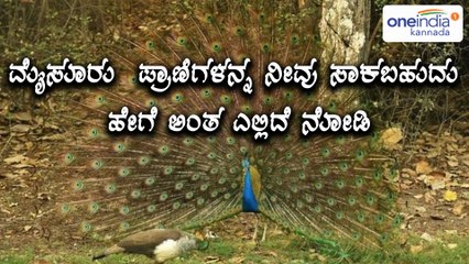 how to adopt Mysore animals? watch this video  | Oneindia Kannada