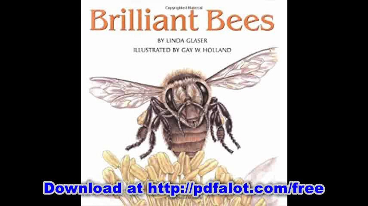 Brilliant Bees