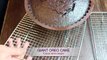 HOW TO MAKE GIANT OREO CAKE/ OREO CAKE RECIPE/ EASY OREO CAKE *COOK WITH FAIZA*