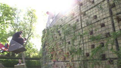 Construire des murs, oui mais végétaux