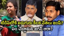 Five YSR Congress Party Leaders To Join TDP Soon టిడిపిలోకి ఐదుగురు కీలక నేతలు జంప్| Oneindia Telugu