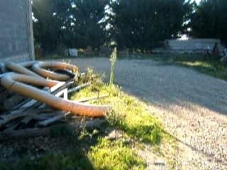 Marcollin william frein a main