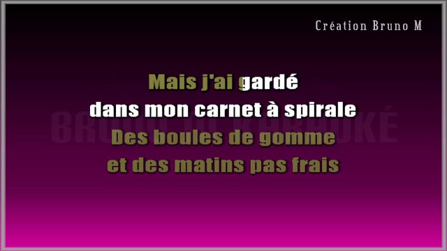 William Sheller - Le carnet à spirale KARAOKE / INSTRUMENTAL