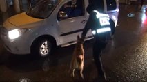 Diyarbakır'da 600 Polis ve Dedektör Köpeklerle Asayiş Uygulaması