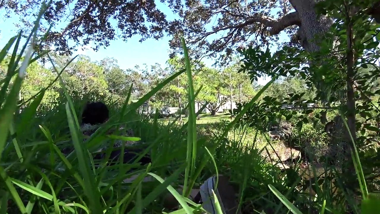 GHILLIE SUIT GOLF COURSE AIR HORN PRANK! (Ft. JOOGSQUAD PPJT) video