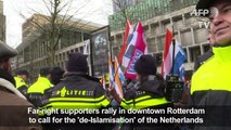 Dutch far-right protest against govt, Islam