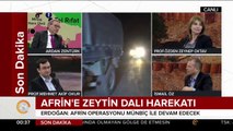 Afrin'e Zeytin Dalı Harekatı