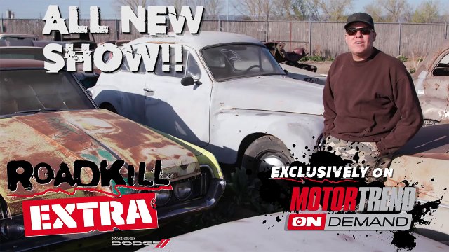 Freiburger Junkyard Pick: 6.5L Cougar! - Roadkill Extra