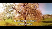 Biji din Barbulesti - Canta suflet al meu [Official video]