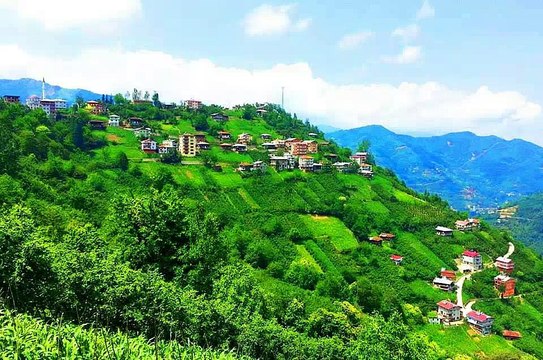 Çaykara Eğridere Köyü