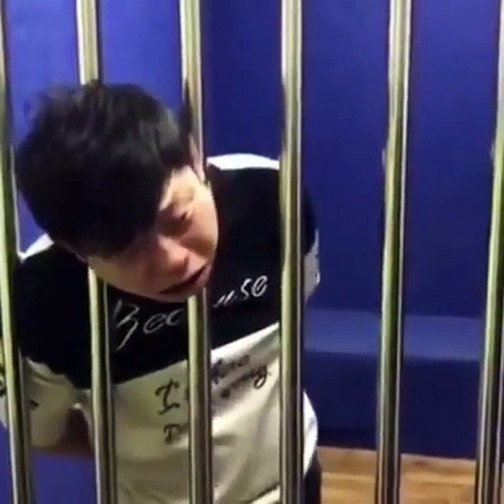 Funny vidéo 2018