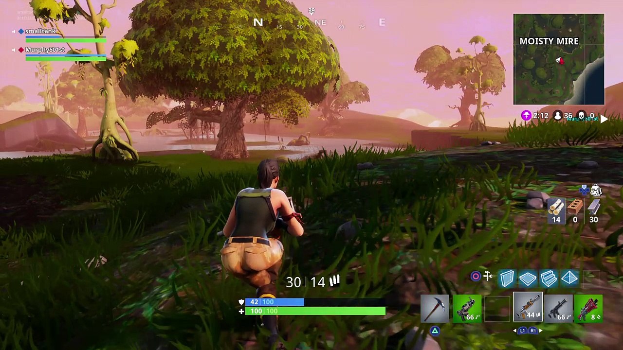Fortnite_20180120175747