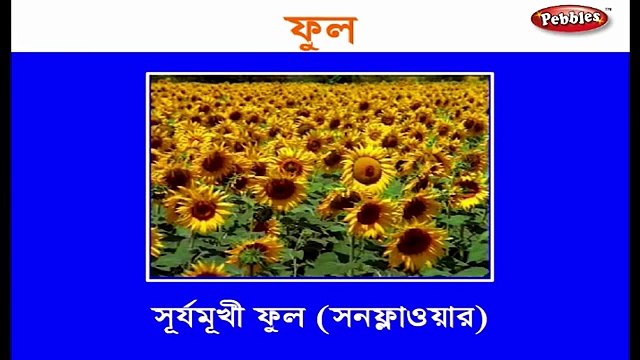 Preschool Learning Videos in Bengali | Kids Educational videos