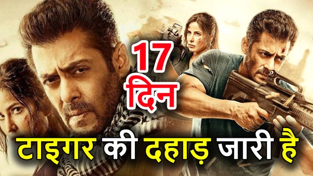 Tiger Zinda Hai 17th Day Collection, Salman Khan Sultan Record Break, Box Office Prediction