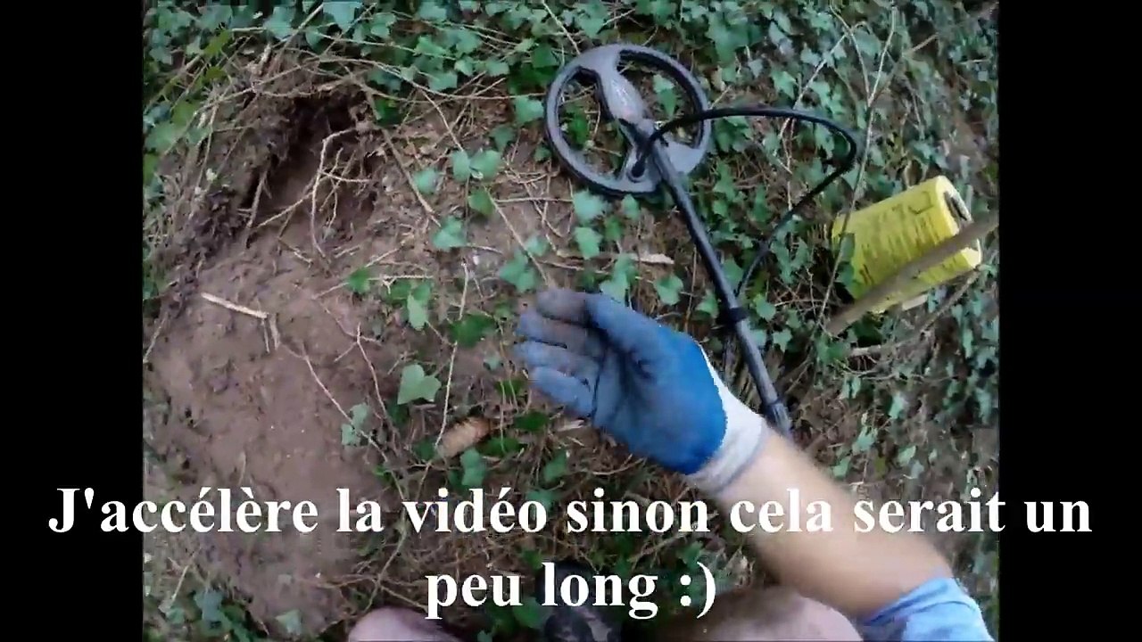 Détection un trésor dans une forêt dépôt monétaire
