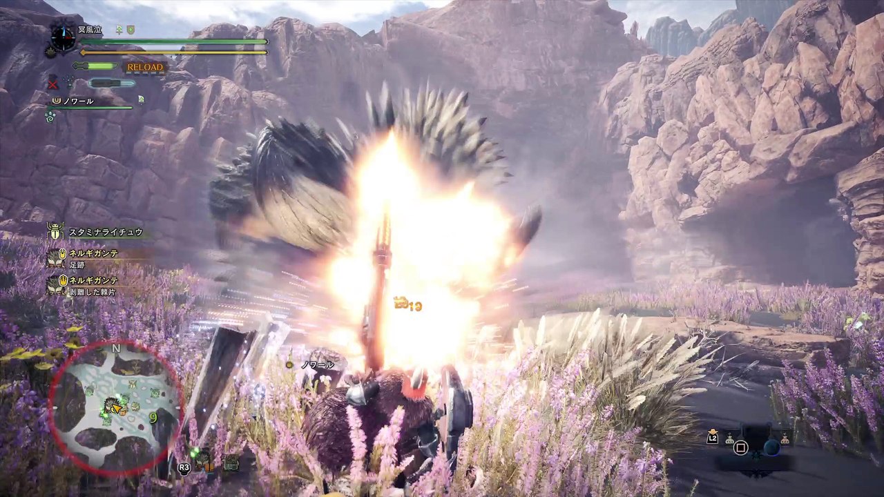 モンスターハンター：ワールド　ベータテスト版_