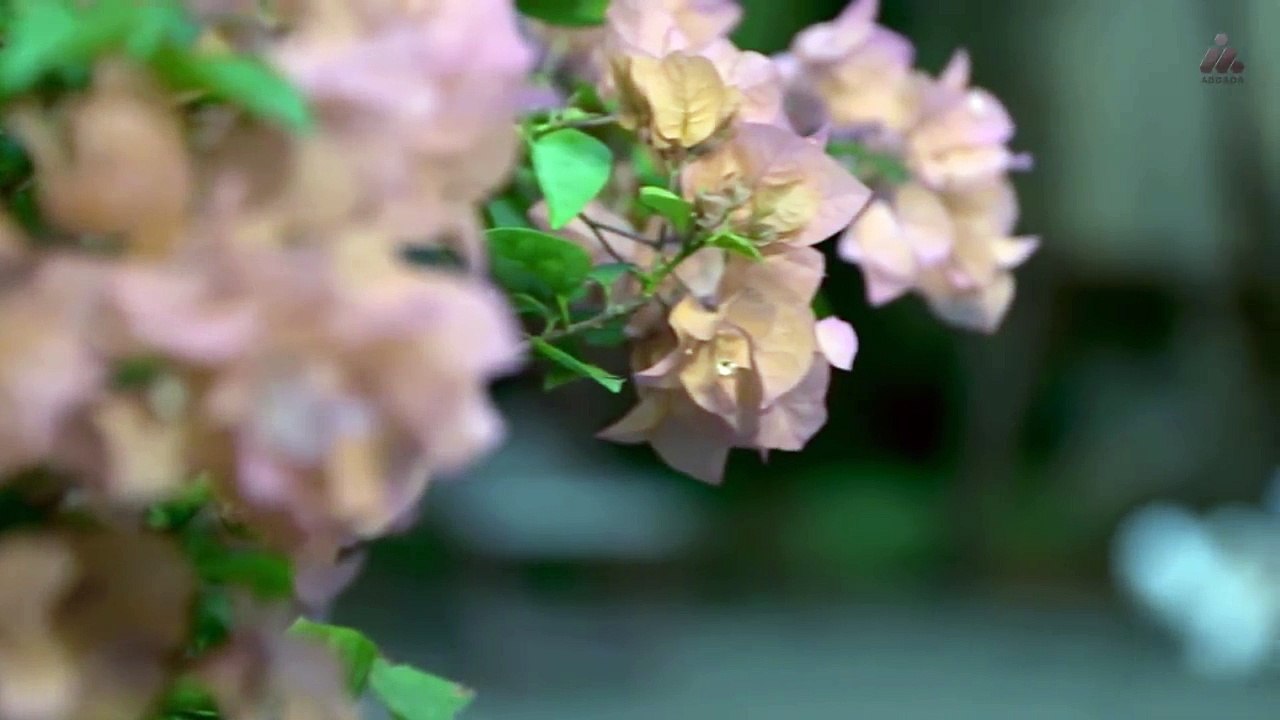 Via Vallen - Cinta Kurang Gizi (Official Music Video)