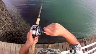 How to Catch Halibut - Drop Shot Technique - San Diego Fishing