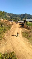 Entertainment of woman carrying pot