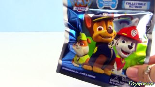 Paw Patrol Pull Back Pups Rescue Rocky With Surprises