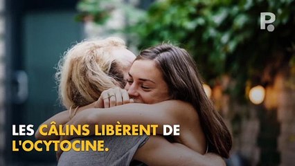 Le 21 janvier, c'est la journée mondiale des câlins