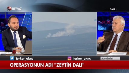 Gülerce, Zeytin Dalı Harekatı'nı değerlendirdi