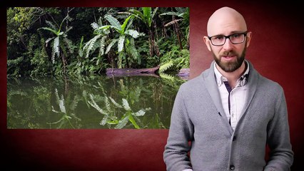 The Soldier Who Continued Fighting WWII 29 Years After It Ended, Because He Didnt Know