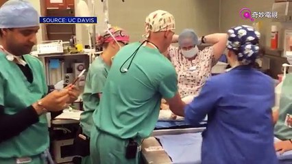 【四腳Friend】UC Davis 3D打印面罩救治被襲頭顱顎骨骨折鬥牛㹴B女