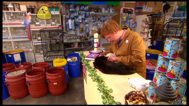 Gigglebiz Chip Monk uses all his wiles to avoid selling his beloved pets