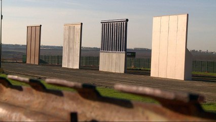 Border wall, immigration dominates Trump's first year