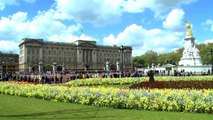 200-Million-Year Old Microbes Played A Role In Building Of Buckingham Palace, Study Finds