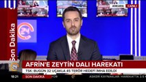 Zeytin Dalı Harekatı