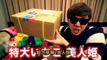 Hikakin TV (中文字幕) 天價草莓 一顆5萬円的美人姬 OMG