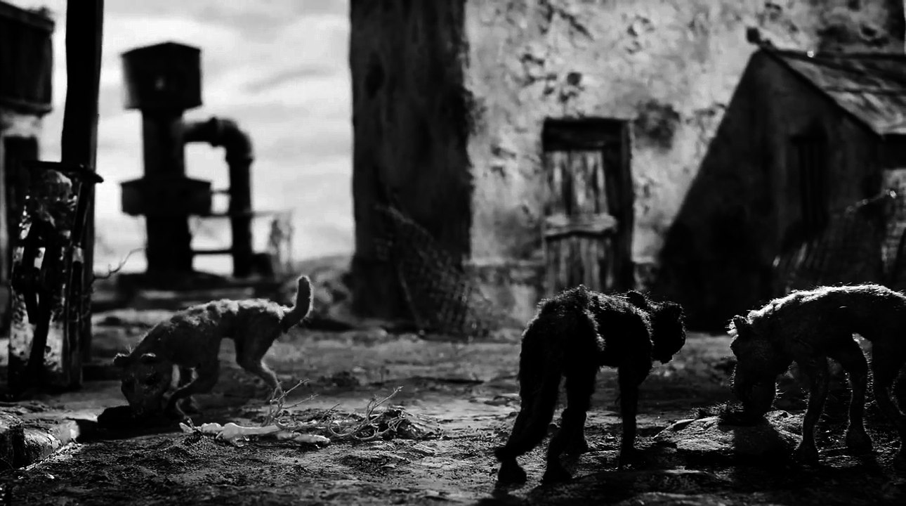 CANIS - Trailer
